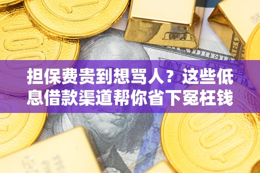 济南担保费贵到想骂人？这些低息借款渠道帮你省下冤枉钱