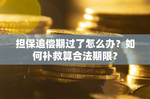济南担保追偿期过了怎么办？如何补救算合法期限？