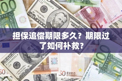 济南担保追偿期限多久？期限过了如何补救？