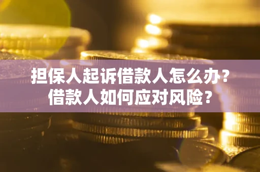 济南担保人起诉借款人怎么办？借款人如何应对风险？