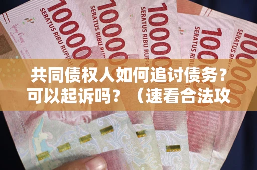 济南共同债权人如何追讨债务？可以起诉吗？（速看合法攻略）