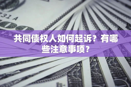 济南共同债权人如何起诉？有哪些注意事项？